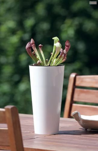 Prosperplast TUBUS SLIM fehér fényes 20 cm virágcserép