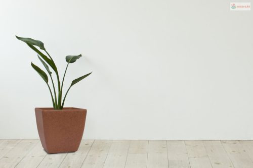 G21 Element Cube virágcserép 28 x 28 x 28