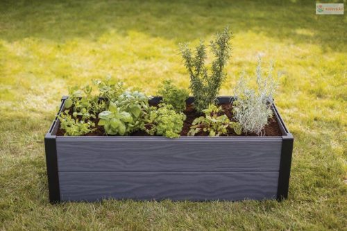 Keter Maple Through virágcserép, grafit