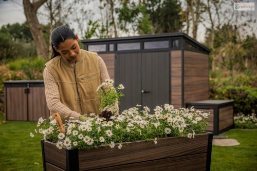 Keter Deco Elevated virágláda brazilian