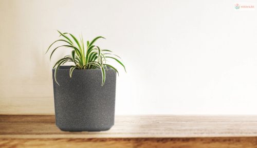 G21 Industrial Block virágcserép 43 x 43 x 43