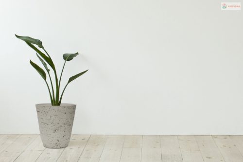 G21 Baltic Roll virágcserép 44 x 42 x 44