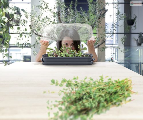 Prosperplast RESPANA TABLE GREENHOUSE palántázó antracit 39,1 cm