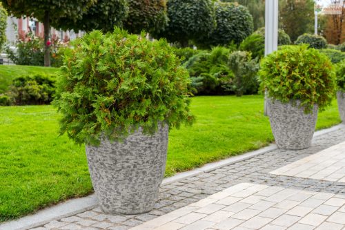 G21 Natur Plump virágcserép 44 x 61 x 44