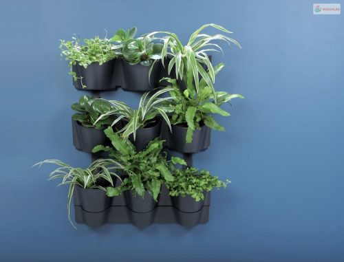 Prosperplast CASCADE WALL kaspó készlet a falra antracit