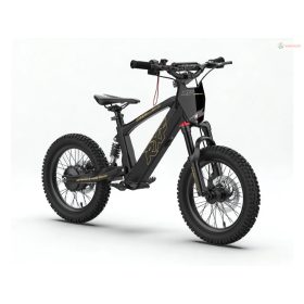   Energy Adventure Push 16 Pro Racing elektromos gyermekmotorkerékpár