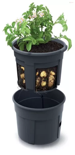 Prosperplast POTATO GROWER kaspó burgonya termesztésre 29,5 cm antracit