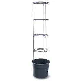   Prosperplast TOMATO GROWER kaspó paradicsom termesztésre 29,5 cm antracit