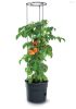 Prosperplast TOMATO GROWER kaspó paradicsom termesztésre 29,5 cm antracit