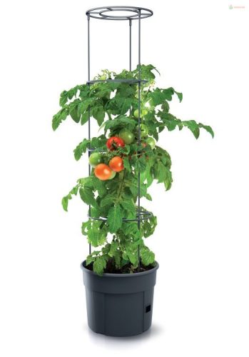 Prosperplast TOMATO GROWER kaspó paradicsom termesztésre 29,5 cm antracit
