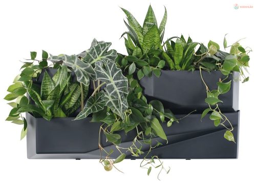 Prosperplast CASCADE GARDEN WALL 2 db-os kaspó készlet antracit