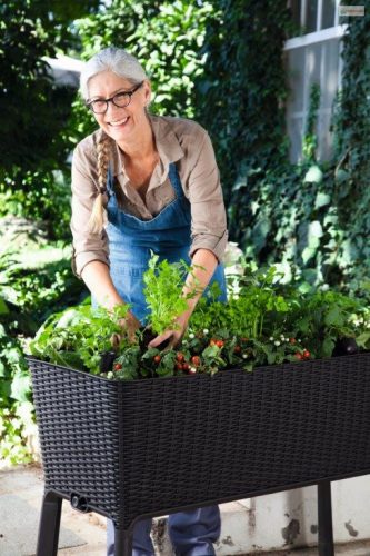 Keter Easy grow műrattan virágláda (magaságyás) - grafit szürke