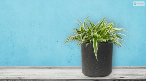 G21 Industrial Cork virágcserép 35 x 35 x 35