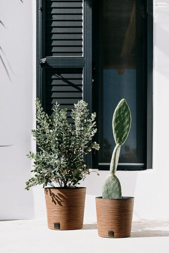 Prosperplast FURU ROUND LOW ECO WOOD kaspó 30 cm naturo