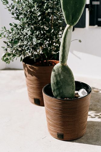 Prosperplast FURU ROUND LOW ECO WOOD kaspó 30 cm naturo