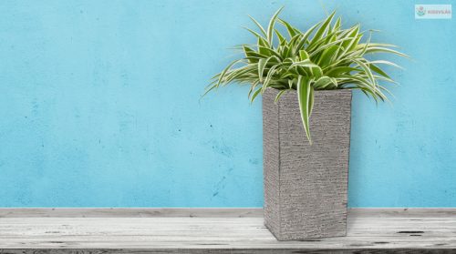 G21 Natur Tube virágcserép 35 x 70 x 35