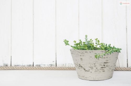 G21 Baltic Bowl virágcserép 47 x 27 x 47