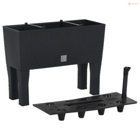   Antracitszürke polipropilén rattan kerti magaságyás 60x25x46 cm