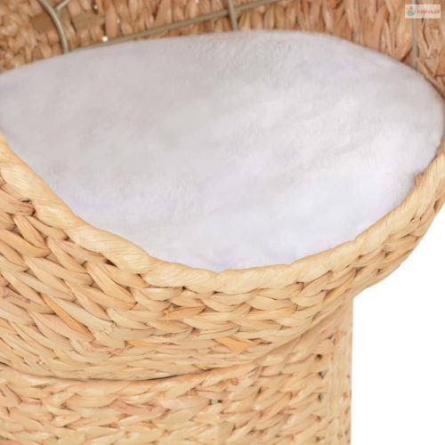 Tengerifű macskakosár