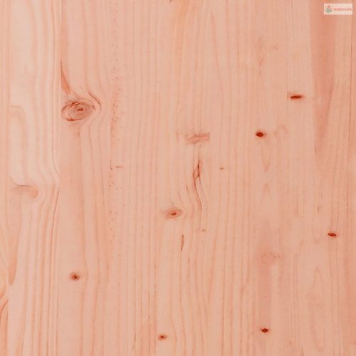 10 részes tömör duglászfenyő kerti társalgószett párnákkal