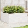 Fehér tömör fenyőfa kerti virágláda 110 x 110 x 46 cm