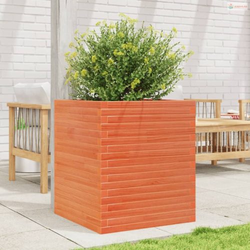 Viaszbarna tömör fenyőfa kerti virágláda 60 x 60 x 68,5 cm