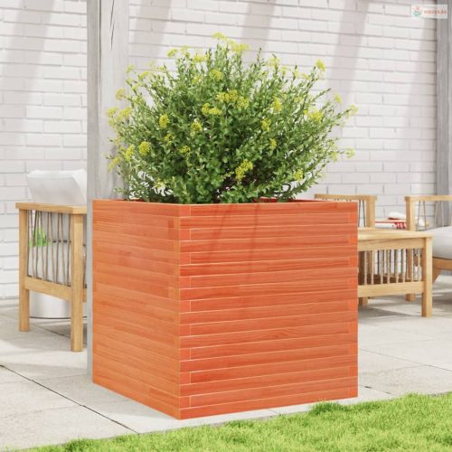 Viaszbarna tömör fenyőfa kerti virágláda 70 x 70 x 68,5 cm