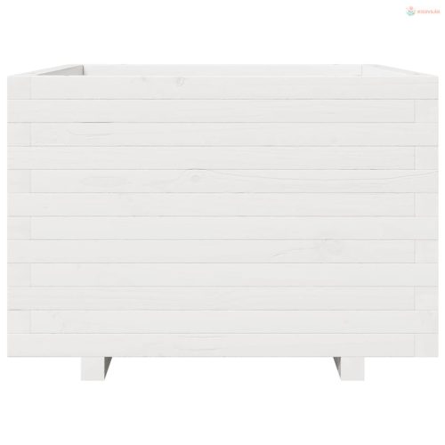 Fehér tömör fenyő virágláda 70 x 70 x 49,5 cm