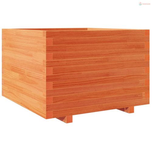 Viaszbarna tömör fenyőfa kerti virágláda 70 x 70 x 49,5 cm