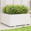 Fehér tömör fenyőfa kerti virágláda 100 x 100 x 49,5 cm
