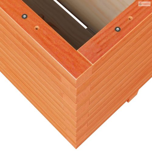 Viaszbarna tömör fenyőfa kerti virágláda 100 x 100 x 49,5 cm