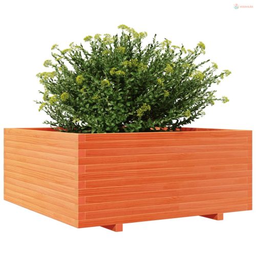 Viaszbarna tömör fenyőfa kerti virágtartó 110 x 110 x 49,5 cm