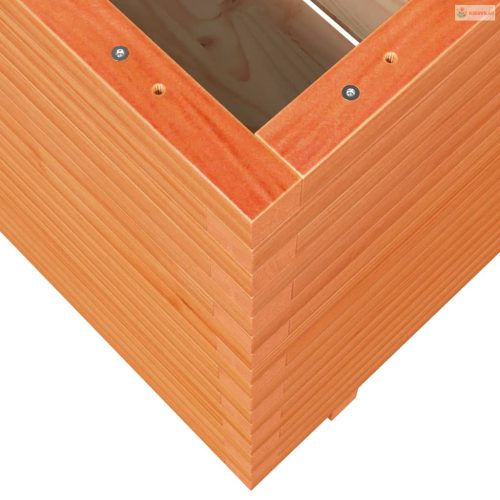 Viaszbarna tömör fenyőfa kerti virágláda 70x70x72 cm