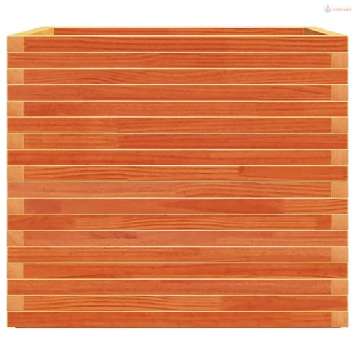 Viaszbarna tömör fenyőfa kerti virágláda 80x80x72 cm