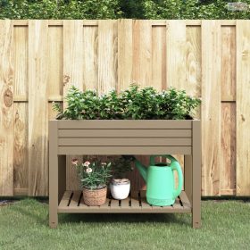 Világosbarna polipropilén magaságyás 110x45x79 cm