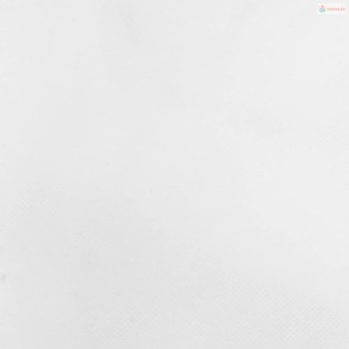 4 db növényvédő huzat zsinórral 70 g/m² 0,8 x 1 m