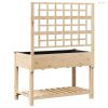 Kerti cserép polcokkal Bézs 115 x 60,5 x 153 cm Szilárd fenyőfa