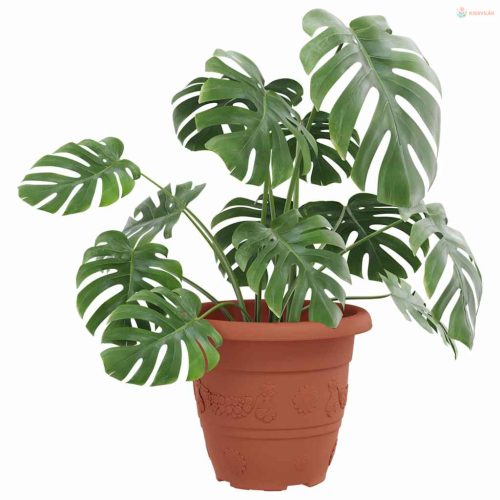 Kerek Virágcserép 6 pcs Tégla Vörös Ø 22 x 18 cm Műanyag