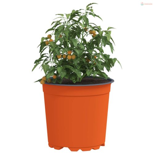 Virág Cserép 200 pcs Terrakotta Ø 15 x 13 cm Műanyag