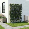 Trellis tüskével Fehér 99 x 6 x 165 cm PP