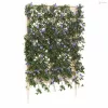 Trellis tüskével Fehér 99 x 6 x 165 cm PP