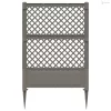 Trellis tüskével Szürke 99 x 6 x 165 cm PP