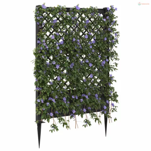 Trellis tüskével Antracitszürke 99 x 6 x 165 cm PP