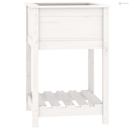 Fehér tömör fenyőfa növénytartó polccal 54x54x81 cm