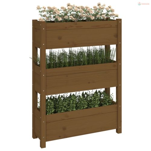 Mézbarna tömör fenyőfa növénytartó 77x25x104,5 cm