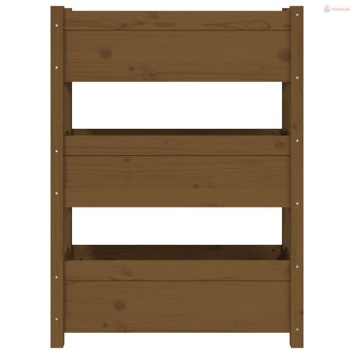 Mézbarna tömör fenyőfa növénytartó 77x25x104,5 cm