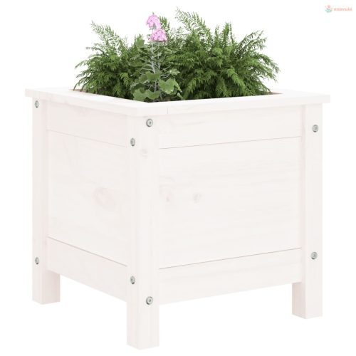 Fehér tömör fenyő kerti növénytartó 40x40x39 cm