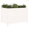 Fehér tömör fenyőfa kerti magaságyás 119,5 x 82,5 x 78 cm