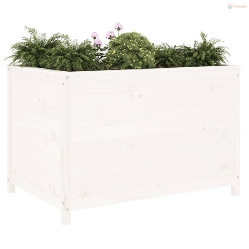 Fehér tömör fenyőfa kerti magaságyás 119,5 x 82,5 x 78 cm