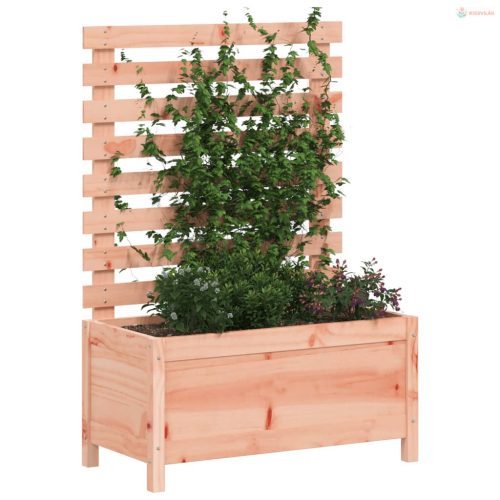 Tömör duglászfenyő kerti növénytartó állvánnyal 79x39,5x114 cm